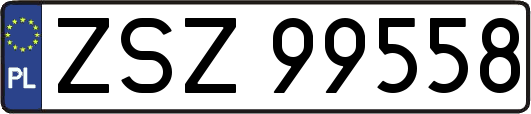 ZSZ99558