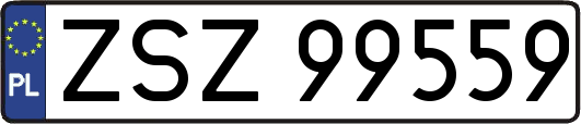 ZSZ99559