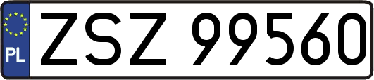 ZSZ99560