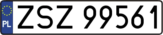 ZSZ99561
