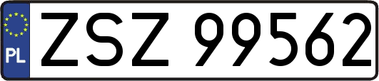 ZSZ99562