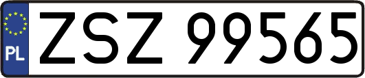 ZSZ99565