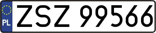 ZSZ99566