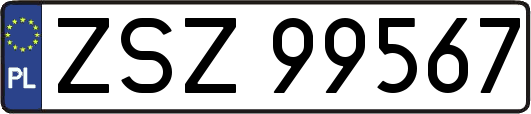 ZSZ99567