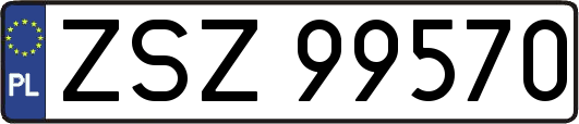ZSZ99570