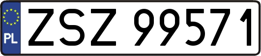 ZSZ99571