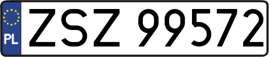ZSZ99572