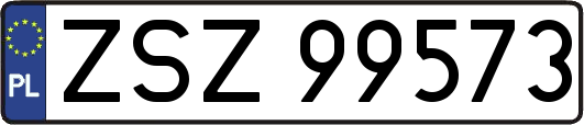 ZSZ99573