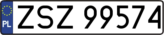 ZSZ99574