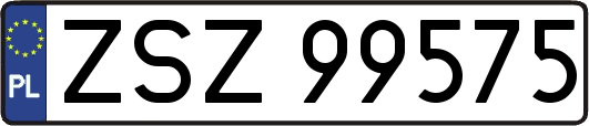 ZSZ99575