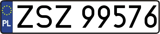 ZSZ99576
