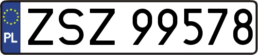 ZSZ99578