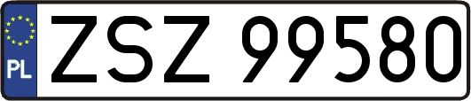 ZSZ99580