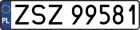 ZSZ99581