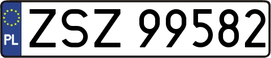 ZSZ99582