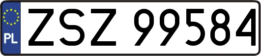 ZSZ99584