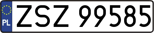 ZSZ99585