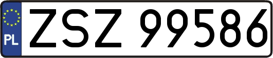 ZSZ99586