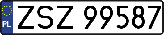 ZSZ99587