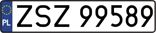 ZSZ99589