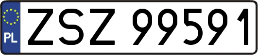 ZSZ99591