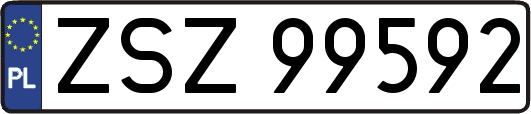 ZSZ99592