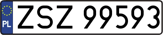 ZSZ99593