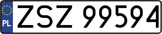 ZSZ99594