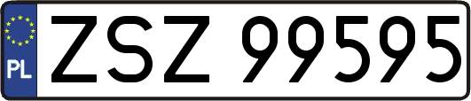 ZSZ99595