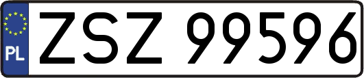 ZSZ99596