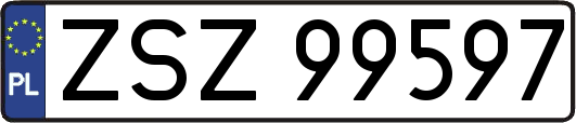 ZSZ99597