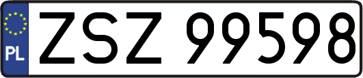 ZSZ99598