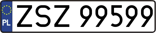 ZSZ99599