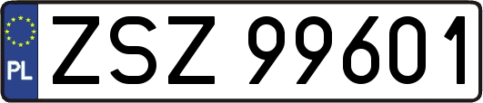ZSZ99601