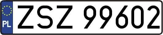 ZSZ99602