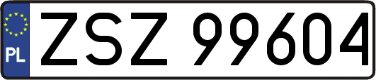 ZSZ99604