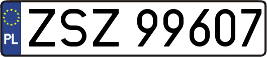 ZSZ99607