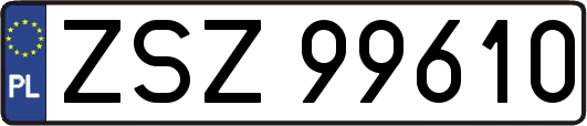 ZSZ99610