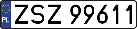 ZSZ99611