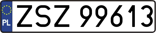 ZSZ99613