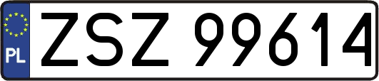 ZSZ99614