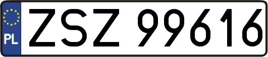ZSZ99616