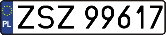 ZSZ99617