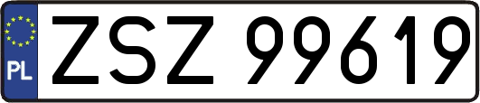 ZSZ99619