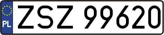 ZSZ99620