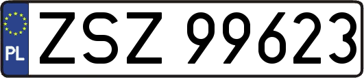ZSZ99623