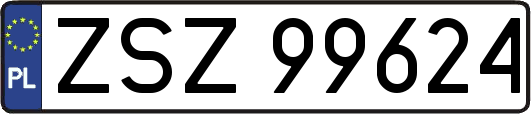 ZSZ99624