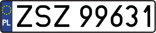 ZSZ99631