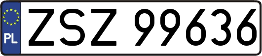 ZSZ99636