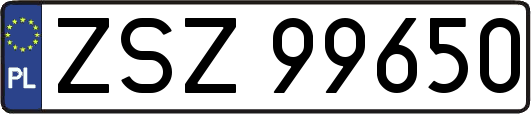 ZSZ99650